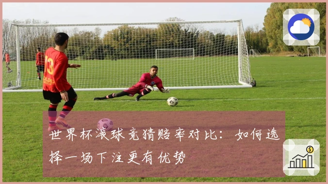 世界杯滚球竞猜赔率对比：如何选择一场下注更有优势