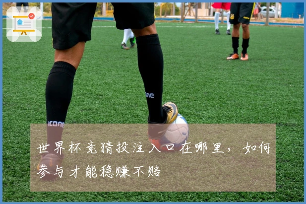 世界杯竞猜投注入口在哪里，如何参与才能稳赚不赔
