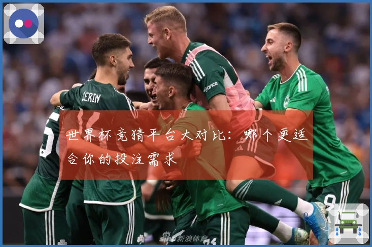 世界杯竞猜平台大对比：哪个更适合你的投注需求