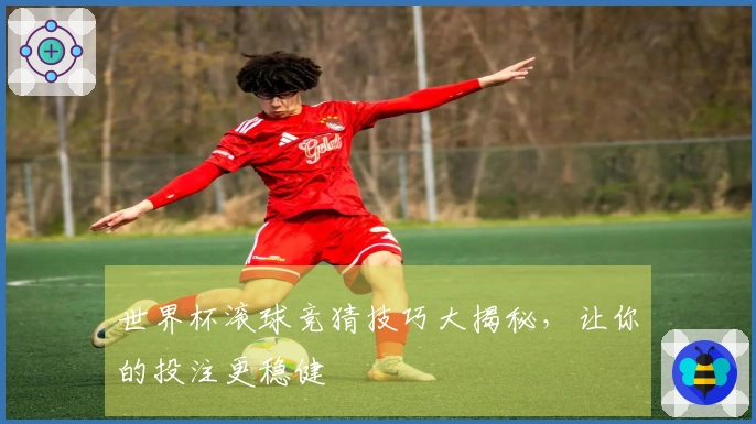 世界杯滚球竞猜技巧大揭秘，让你的投注更稳健